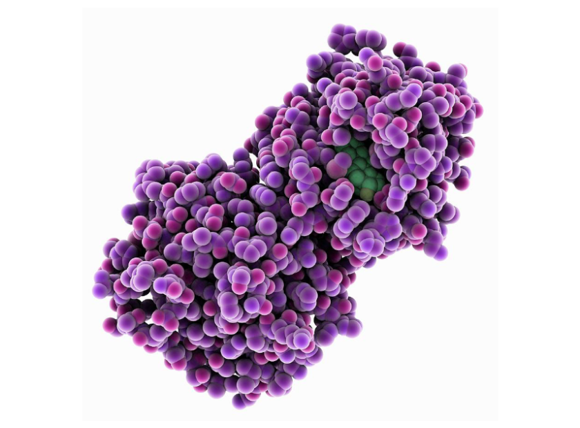 HORMONAL MALE AXIS AND HORMONES BLOODWORK