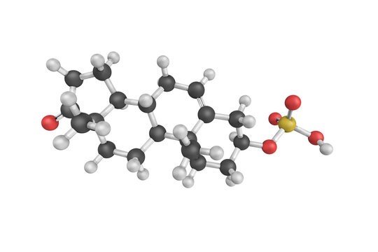 HORMONAL MALE AXIS AND HORMONES BLOODWORK