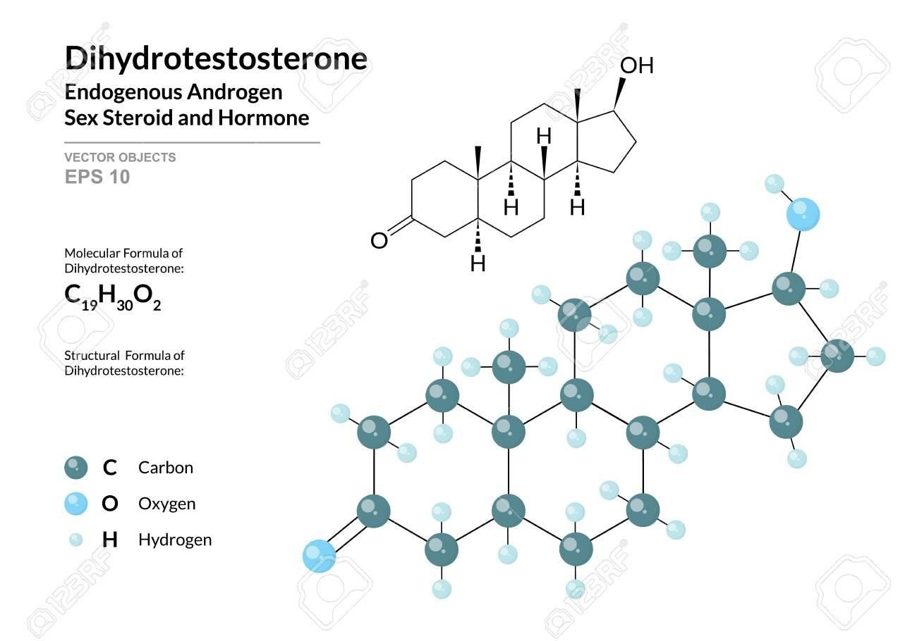 HORMONAL MALE AXIS AND HORMONES BLOODWORK