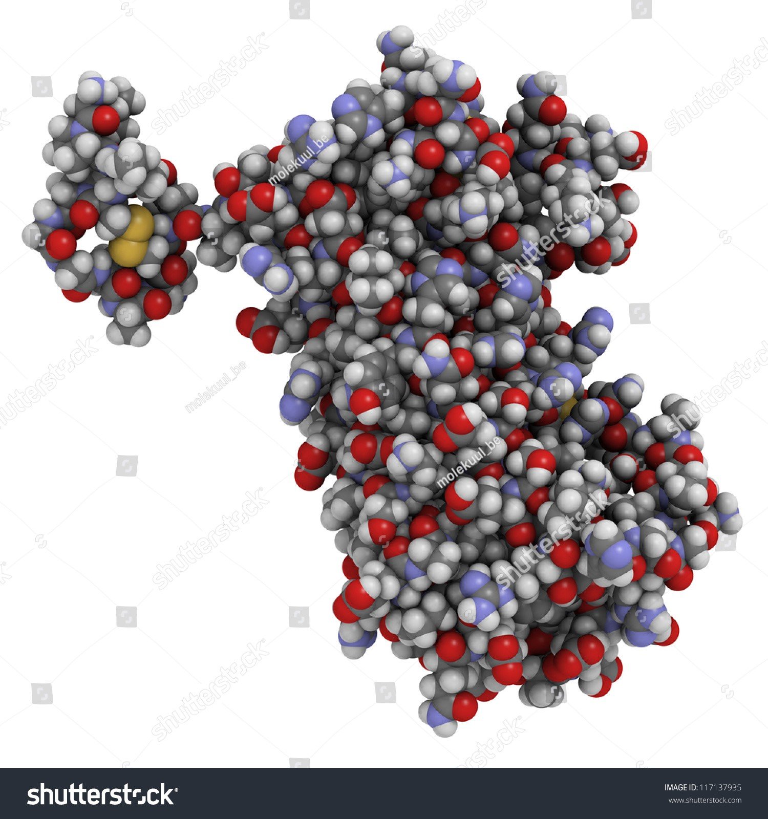 HORMONAL MALE AXIS AND HORMONES BLOODWORK