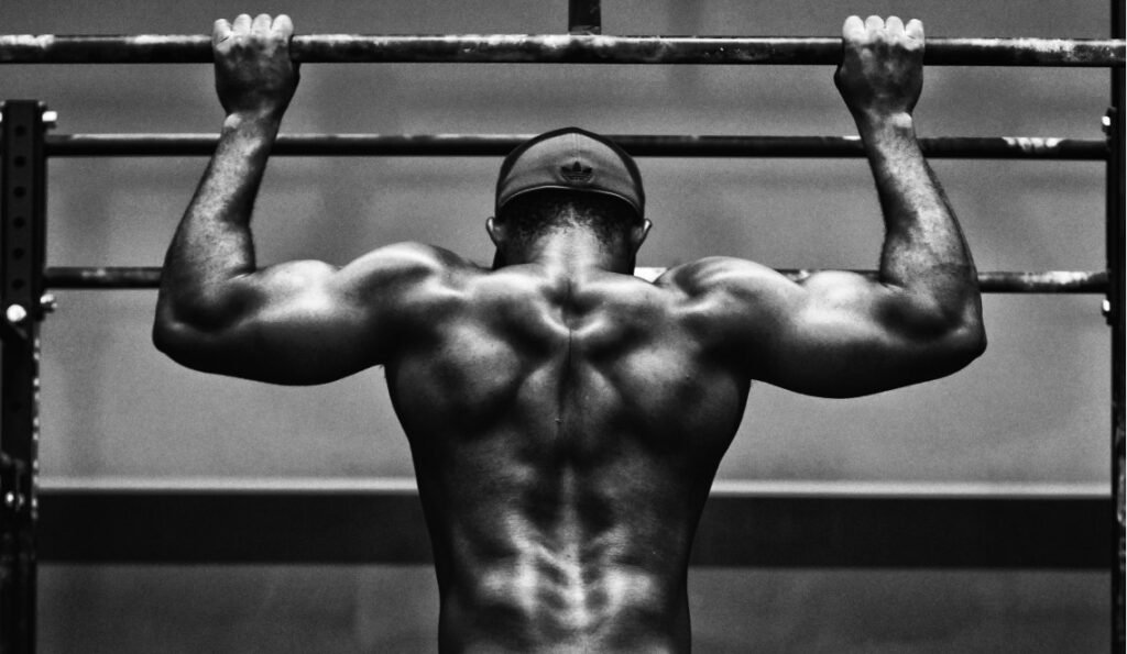 Bulk Up With The Science Of Bodybuilding 1024x595