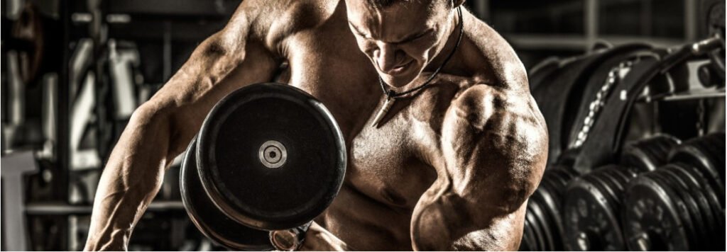 How To Burn Fat Without Losing Muscle Mass 1024x356