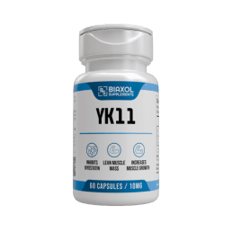 YK11